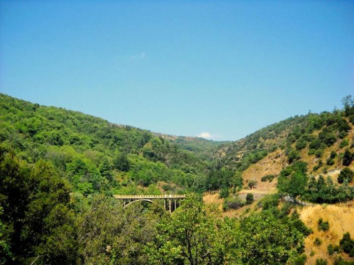 Dafni Apartments Kastrí Dış mekan fotoğraf